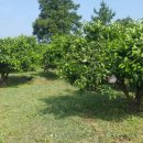 상상농장 이미지