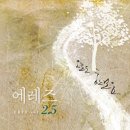 에레즈 서울매일