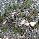 꽃소아청소년과의원 이미지