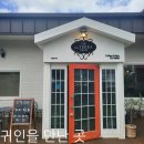 제주대학교 경영대학원 | [#15/365] 아라동 카페 &#34;미세스테라&#34; (feat 귀인)