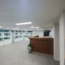 수원고양이분양 도레미캣 이미지