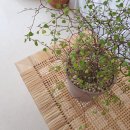 하나로꽃집 - 합천군 옥산로 87 | 하나로꽃집