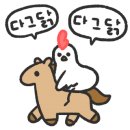 회뜨는삼촌 이미지