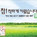 선도식품 이미지