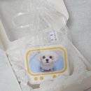 인테리어겸 | 나만의 인테리어액자겸 석고방향제 구매 후기!
