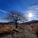 1189 | 번개산행~영남 알프스 천황산(1189m))~밀양 얼음골 산신령님...😊🙏
