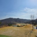 타이틀리스트 PRO V1 골프공, 많은 사람들이 사용하는 이유가 확실한 골프공