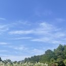 금남면_호탄리 마을회관 이미지