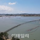 무안군무안생태갯벌사업소 이데일리