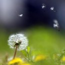 산과들과바람 이미지