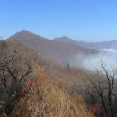 현리목장 이미지