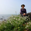 제주 올레길 6코스 이미지