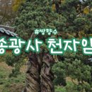 쌍홍루 이미지