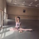 성인발레 이미지