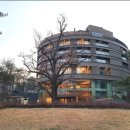 소나무 숲 리조트 이미지