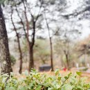 (집)쉼표매점 이미지