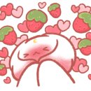 올랑데코