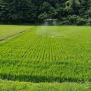 해오름영농조합법인 이미지