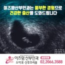 요가교실 A반 이미지