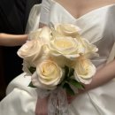 청전대로 L | 아이폰 스냅 '메모아 스냅' 추천합니다!