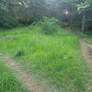 진주평거동고분군 이미지