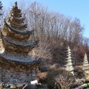 성불주차장 | 경기도 사찰 여행 용인 와우정사 절 가는법 주차장 정보