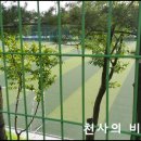 쌍봉산근린공원 축구장 이미지