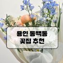 출산 D-17 셀프 만삭사진 소품 준비! 동백동 꽃집 꽃블리 후기