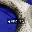 도이치에너지 | 도화동 우성아파트 삼성 2in1 에어컨, 겉만 닦으셨나요? 뜯어보고 기겁한 곰팡이 박멸 후기