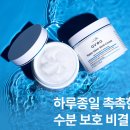 팜리치 | 나이트크림 보습크림 추천 아베아 워터글로우리치크림 일주일 후기