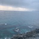 제우스 전기통닭 | [ 스킹후기 : 하이원 - 0215~0216 ]