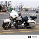 할리데이 이미지