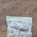 마지막 전국일주 (집으로 가는길8) 이미지