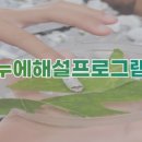 반디랑누에