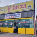 여기오면돈돼지 이미지