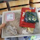 회랑세꼬시 이미지