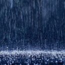 타이어모터스 이미지