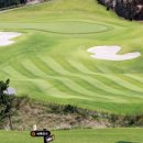 동원로얄 스크린골프 이미지