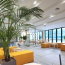 피터펫카페 가덕도점 이미지