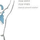 더블에이치짐 이미지