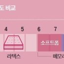 온도라이프 이미지