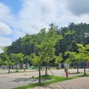 청주시 미래지농촌테마공원 오토캠핑장 이미지