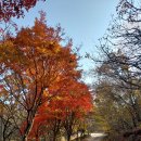 인천 옹진군 장봉도 걷기 좋은 길 3코스 구비너머길(4.03km + 약 2.5km = 6.53km), 종합편 이미지