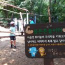 튼튼 유아숲체험원 이미지