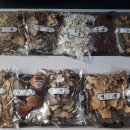 야생사슴농장 이미지