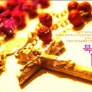 피앗농장 이미지