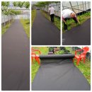 영구네농장 이미지