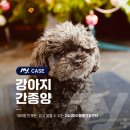 운정24시동물의료센터 이미지