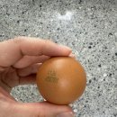 구성양계장 | 계란 난각번호 1번 의미 양계장청년 유정란 후기