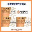 감사 태양광발전소 이미지